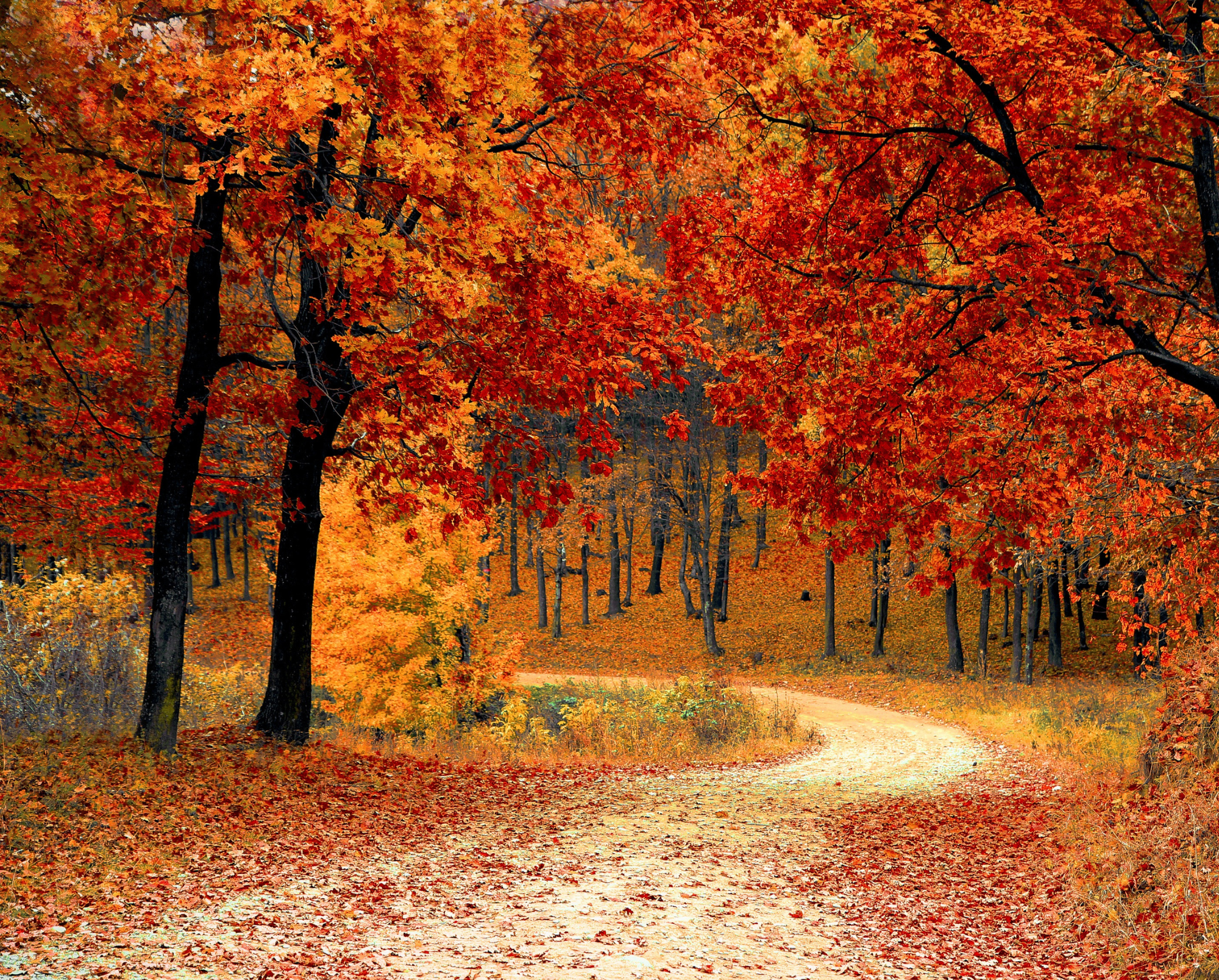 Autumn