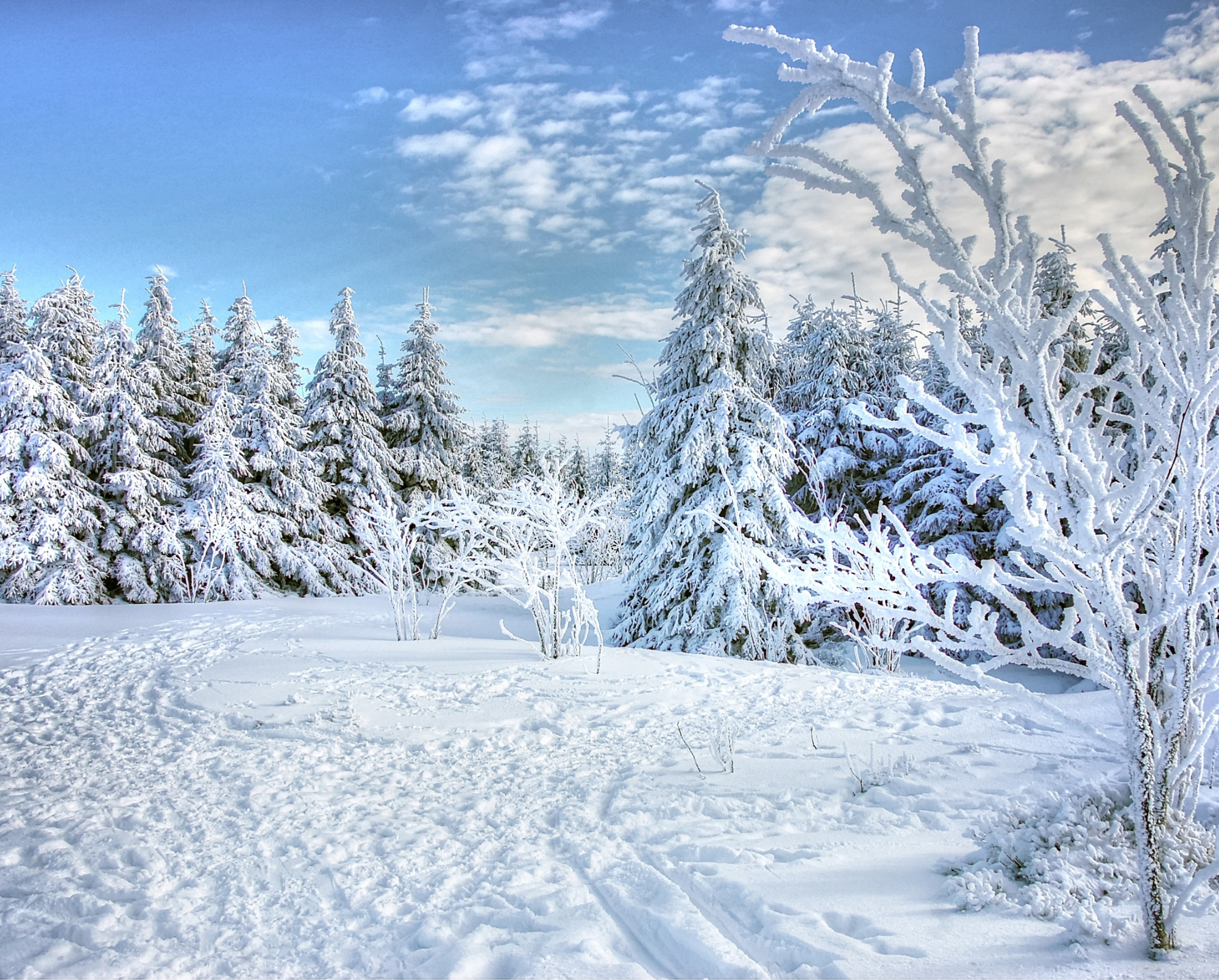 Winter