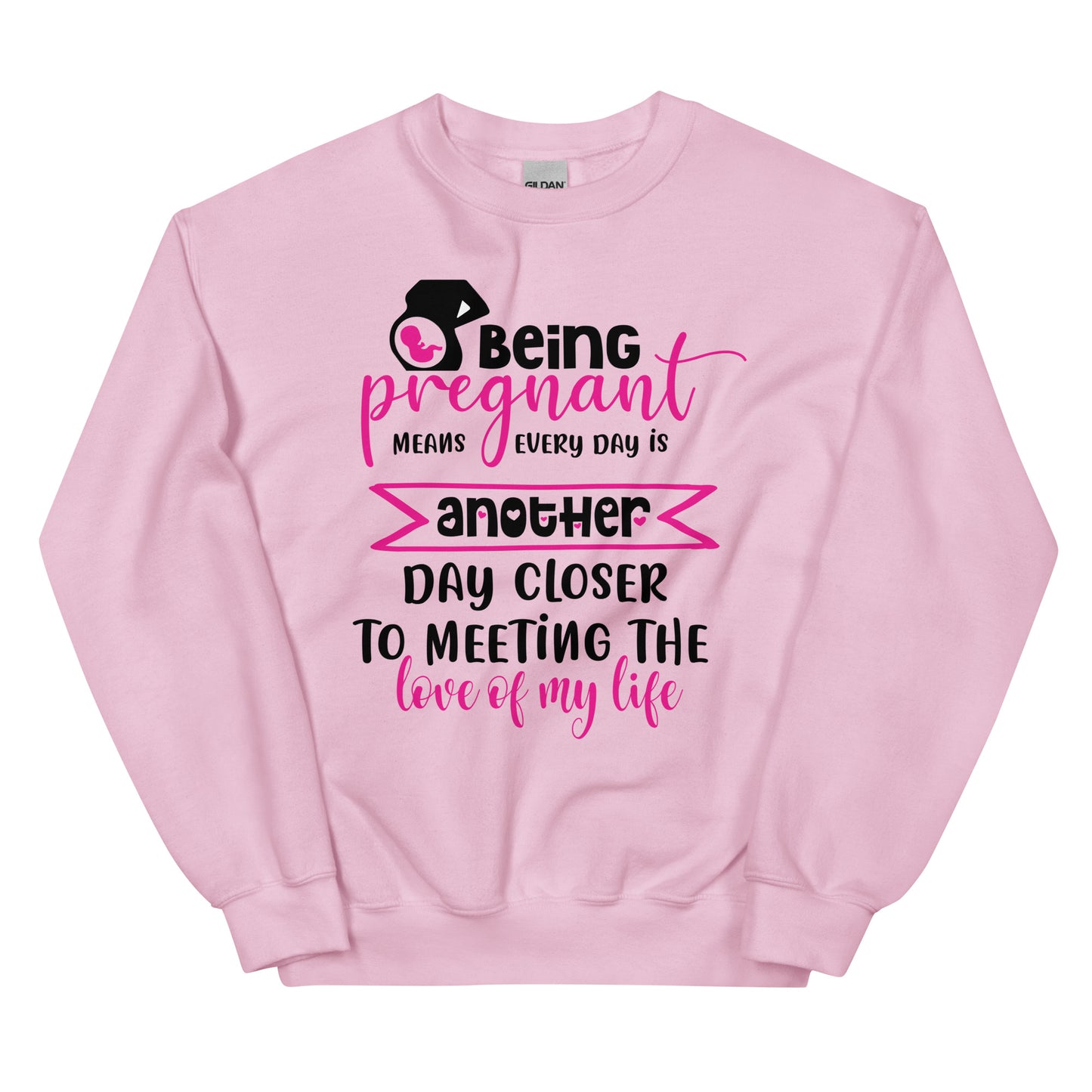 Being Pregnant Means Every Day is Another Day Closer to Meeting the Love of My Life Unisex Sweatshirt