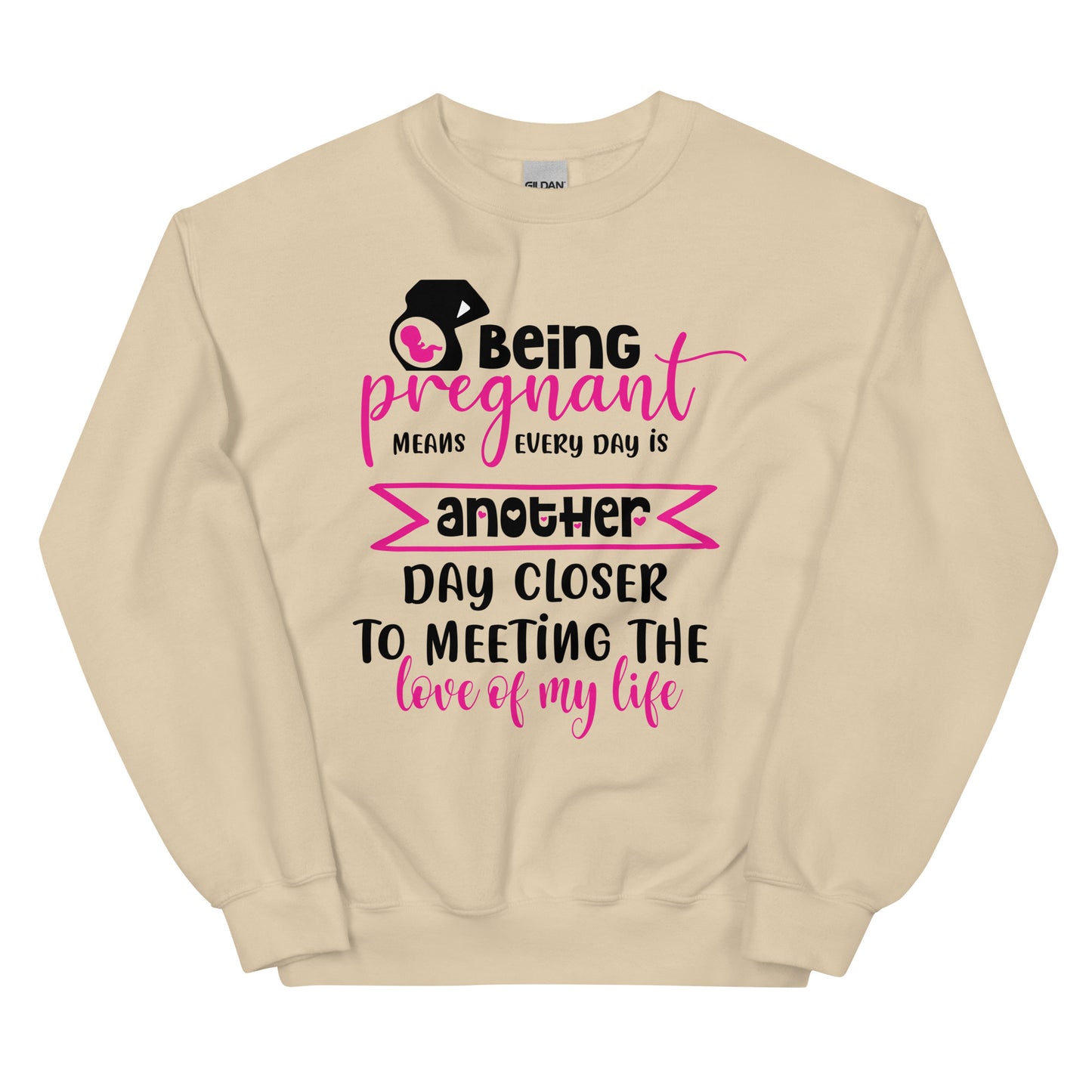 Being Pregnant Means Every Day is Another Day Closer to Meeting the Love of My Life Unisex Sweatshirt